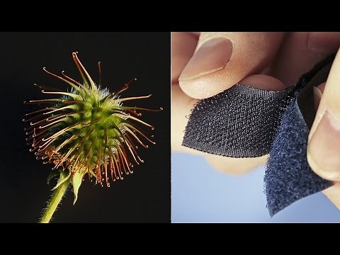 An Invention Inspired By Nature