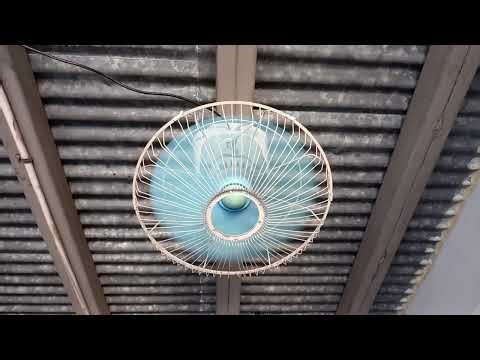 16" TMT Orbit Ceiling fan in the Largest Classroom