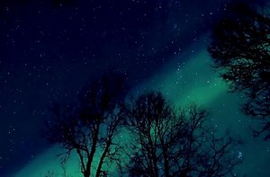 Aurora Borealis: What is it and where does it come from?