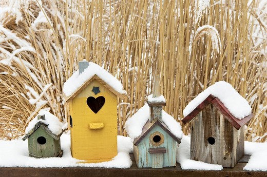 When Should You Clean out Birdhouses?
