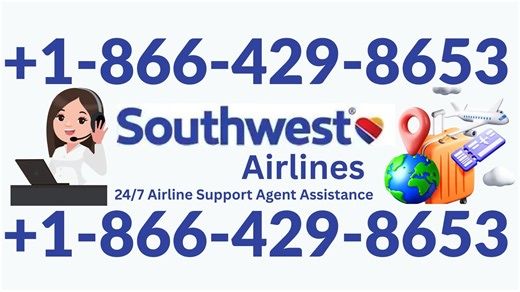 The 24/7 Ultimate Guide to Southwest Airlines Customer Service: Phone, Chat, and Social Media
