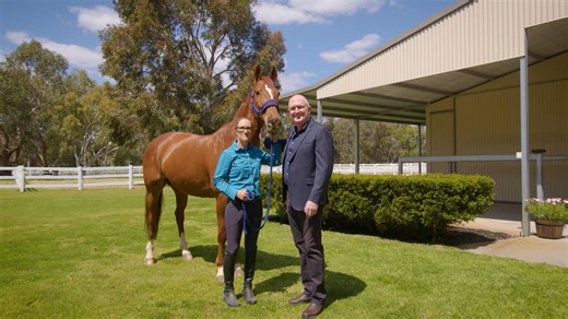 124 Cathedral Ave, BRIGADOON (The Swan Valley) Price: $2,800,000 A Stunning executive property that will make your dreams come to reality. If you have been searching for a quality property in The Swan Valley, then this will capture your imagination. - 8 Acres - 5 Bed, 2 Bath Home - Large Living Areas - Below Ground Pool - Separate Home Office - 60m x 40m Professional Arena - Quality Stable Complex - Secure Feed / Tack Rooms - Large Workshop - Undercover Horse Truck Parking - Quality (Safe) Fenci
