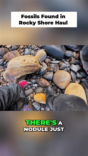 INSANE Ammonite Fossil Found! Perfect Spiral Reveal! #fossil #ammonite #satisfying #geology #fyp