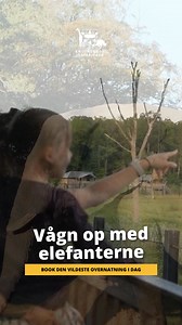 Sommer med elefanterne i Knuthenborg 🐘 Forestil dig at vågne op til høje plaskelyde fra mudderbadende, truttende elefanter og synet af den store, stribede zebraflok. Nyd en unik overnatning, roen efter lukketid og en særlig aftenoplevelse tæt på dyrene. 🌿 Sov med elefanterne og zebraerne 🚶 Oplev parken i aftentimerne ☀️ Nyd stilheden og udsigten fra terrassen Gør din sommer uforglemmelig – Knuthenborg kalder! 🌞 | Knuthenborg Safaripark