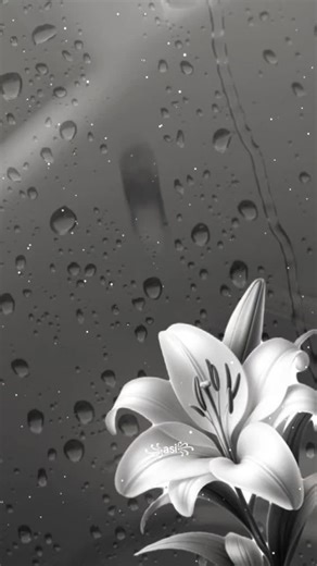 Maryam Omer (@maryam.omer92)’s videos with original sound - Darker Quotes