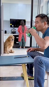 Funny Dog Videos 🔴🐶🐶 #reels #reelsfb #reelsviral #reelsvideo #reels2023 #dog #dogsofinstagram #dogs #puppy #doglover #dogstagram #dogoftheday #doglife #instadog #doglovers #love #pet #puppylove #cute #puppiesofinstagram #pets #puppies #instagram #dogsofinsta #doggo #cat #dogphotography #petsofinstagram #doglove #ilovemydog | Baby Dogs