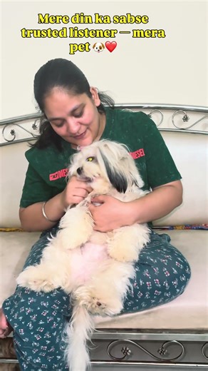 My Support System 🐶🫶 #viral #trending #explore #fyp #ytshorts #shihtzu #puppy #dog #pets #foryou