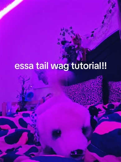 Replying to @itz_spiralz_pawzessa tail wags tutorial #esa #essa #fyp #viral #essas