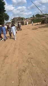 Journey of Livestock from Kano, Nigeria to Ghana | First Stage: Kano to the Border (Part 1) | K-F Agro Tech And Agro Service