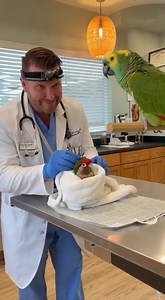 Funniest checkup ever! 🦜👨‍⚕️ A talkative Amazon parrot visits the doctor and totally steals the show — you won’t believe what it says 😂 Watch till the end for the funniest moment! Like, share & follow for more hilarious animal videos 🐾💖 #Viral #Trending #FBReels #FunnyVideo #ParrotComedy #AmazonParrot #funnyreels #viralreelsシ #talkingparrot #foryouシ | Cute & Funny World
