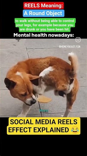 SOCIAL MEDIA REELS EFFECT EXPLAINED 😂 #reels #reelsvideo #reelsinstagram #youtubeshorts #viralreels