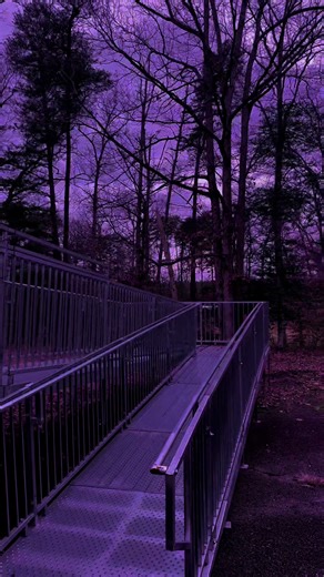 Spooky woods exploring #darkforest #forestmystery #nature | woods