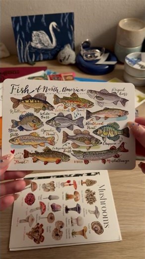 Lets open my mail together #postcrossing #snailmail #letter #journal #unboxing