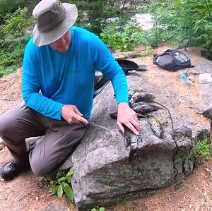 Fishing, Log Gable Posts & Fish Compost for the Cabin | Boston Yayuka