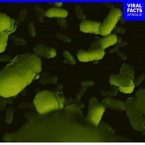 Tout ce que vous devez savoir sur le #choléra, ses symptômes et comment réduire les risques d'infection. 👇🏿 #ViralFactsAfrique Viral Facts Africa | Bureau régional de l'OMS pour l'Afrique - AFRO