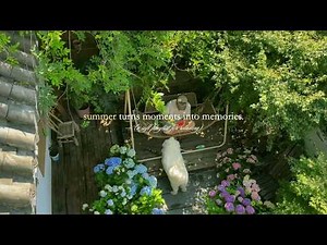 summer turns moments into memories. — (a soft playlist for relaxing)