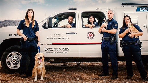 Watch Animal Cops: Phoenix Season 4 Episode 7 - Canal Dog Resuce