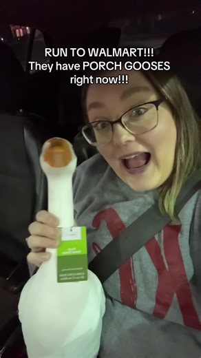 Porch Goose Enthusiasm: Crafting Clothes for My New Pet