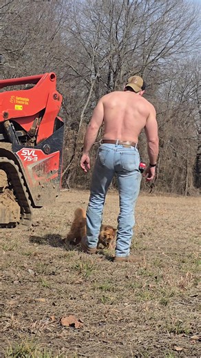 Training my new skid steer operator #cat #landclearing