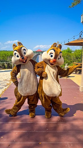 Have you been to Disney’s Hilton Head Resort? We recently had our first visit here and it is such a relaxing vacation. The resort has a bunch of included activities such as characters, trivia, bingo and free nature walks! Also, the views from the hotel room are beautiful and the beach is just a short ride away from the hotel (you can drive or there is a bus provided by Disney). If you haven’t been, would this be on your travel bucket list? #hiltonhead #dvc #disneyvacationclub #dvcmember #disneyl