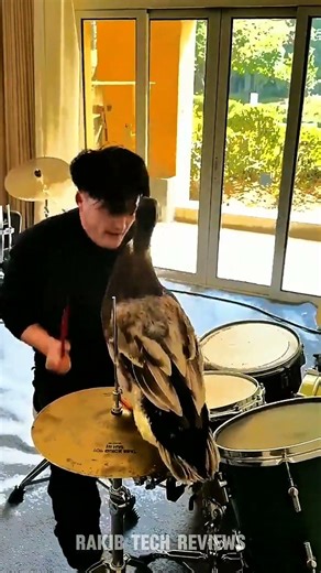 The Goose Master of Percussion. #shorts