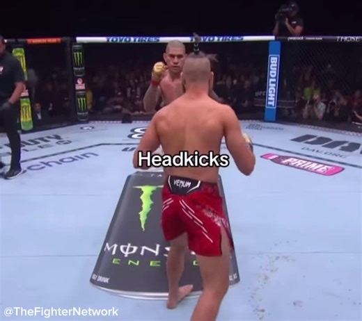 TheFighterNetwork on TikTok