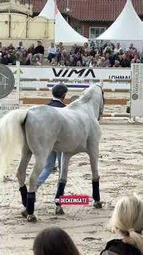 Cornet Obolensky 🐎😍