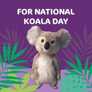 1.3K views · 1.9K reactions | Happy #NationalKoalaDay!  To...