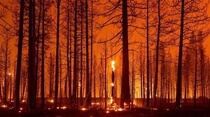 Machine Learning Use Cases for Climate Change - Analytics Yogi