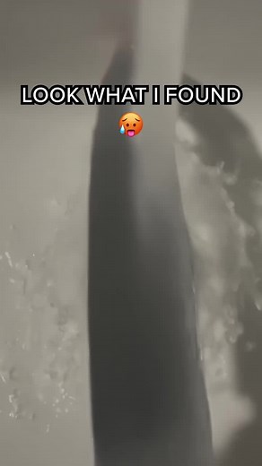 djmusic.lutech trên TikTok