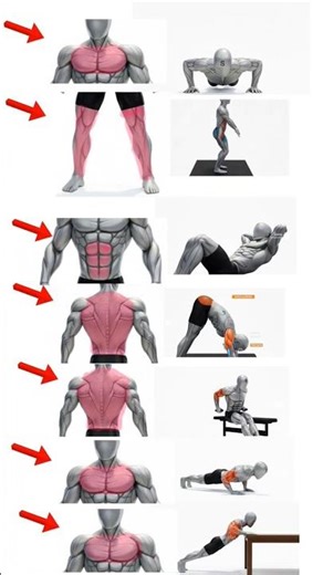 Full body Workout (No Equipment) #shorts