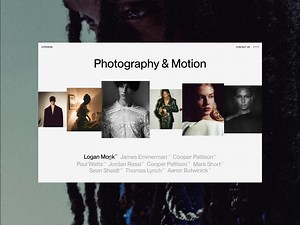 Hyperion Website Interaction Design