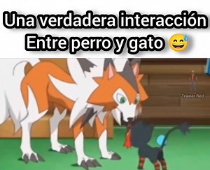 Lycanroc y Litten los mejores amigos jajaja #pokemon #anime #videogames #reelsvideoシ | Trainer Red