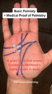 20K views · 128 reactions | All hand lines in palmistry #palms #instagram #trending #follow #love #viral #like #instagood #explorepage #photography #explore #likeforlikes #followforfollowback #music #fashion #instadaily #famous #memes #beautiful #model #cute #followme #style #beauty #funny #photo #asadpalmist | Asad Raza -AR Palmistry Numerology | Facebook