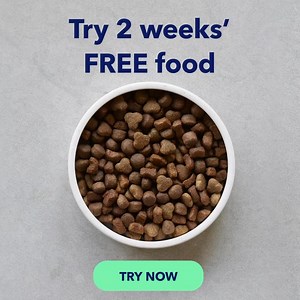 Looking for dog food that’s as nutritious as it is delicious? 🍲🐕 At tails.com, we’ll make a unique recipe of tailored food just for your dog, using quality ingredients 🥩🥕, smart tech 🔬👩‍🔬 and a lot of love 💖 Start your 2 week FREE trial today. £1 P&P. | tails.com