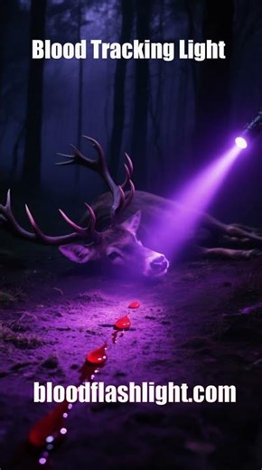 Flashlight That Shows Blood When Looking for Deer