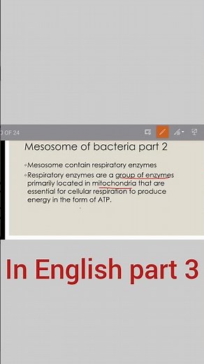 mesosome of bacteria part 3/ structure of bacteria/ in English easy explanation