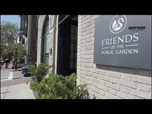 Exploring Boston: Beacon Street - Historic Brownstones, Tree Lined Avenue & Boston Life