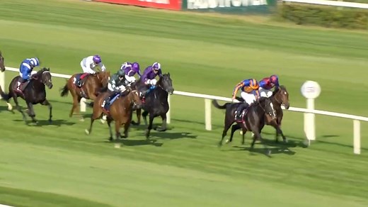 AUGUSTE RODIN, Outstanding 6 Time Gr.1 Champion Auguste Rodin to stand at Windsor Park. Auguste Rodin one of the world's finest racehorses of his generation, a 6-time Group One winner at ages 2, 3 and 4, has been announced to stand at Windsor Park Stud, Cambridge this Spring. The Champion 3YO’s spectacular CV includes victories in both the English Derby and Irish Derby to go with triumphs at Weight-For-Age against the older horses in the Irish Champion Stakes and Breeders’ Cup Turf at that age.