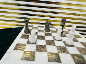 Coral Fossil and Onyx Chess Set With Board, Chess Pieces & Velvet Gift Box, Pick Your Size - Etsy