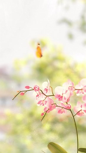 It won't hurt at this time #doorobear #dooro #animation #funny | Dooro Bear