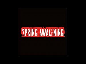 뮤지컬 스프링 어웨이크닝 OST Musical Spring awakening