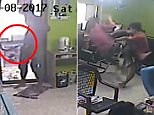 Incredible moment snake leaps onto man opening cafe door | Daily Mail Online