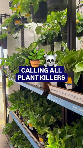 Using a Simple String to Care for Your Plants