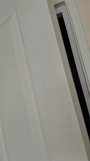 Bro failed EVERY DAY 💀 #jojosbizarreadventure #jujutsukaisen #onepiece #anime #joke | Noschool Saturday