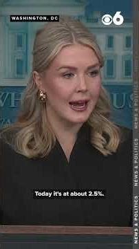 Karoline Leavitt debates affordability with reporter during White House press briefing