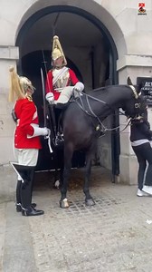 307K views · 2.6K reactions | The King's Guards and the Surprising Risks of Horse Bites #KingsGuardHorse #NobleSteed #RoyalCompanionship #MajesticPresence #EquineElegance #GuardiansOfTradition #HeartOfTheHorse #RespectForRoyalty #CaringForTheGuard #BondBetweenManAndHorse | Royal Guard UK | Facebook