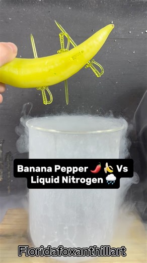 Banana Pepper 🌶️ 🍌 Vs Liquid Nitrogen 🌧️ #Satisfying #Experiment #Science #ASMR #LiquidNitrogen