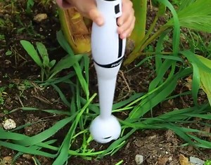 368K views · 231 reactions | Smart hacks for daily gardening routine! | Green Bean | Facebook