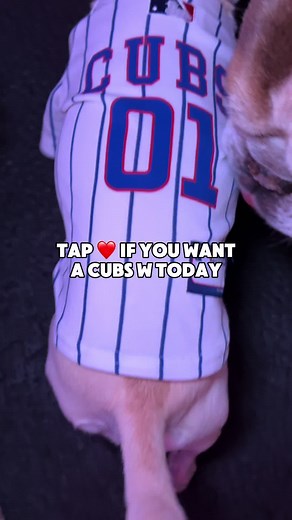 💙🐾⚾ Double tap & re-share to send our Cubbies all the luck they need today! 🐶✨ @Cubs #GoCubsGo #CubsPlayoffs #ChicagoCubs #CubsNation